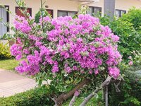IMG_20260318_091121262.jpg