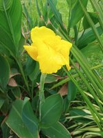 IMG_20260318_091245044.jpg