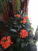 IMG_20260313_102527_665.jpg