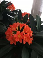 IMG_20260313_102846_708.jpg