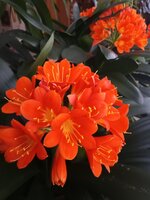 IMG_20260313_102502_405.jpg