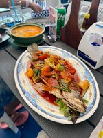 IMG_9932.jpeg IMG_9932.jpeg
