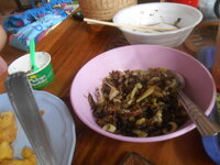 DSCN5960.JPG