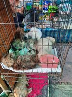 2026 Jan-Febr-März 061.jpg