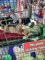 2026 Jan-Febr-März 062.jpg