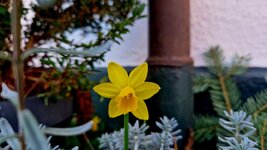 20260304_080307.jpg