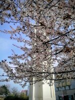 IMG_20260323_113407~2.jpg