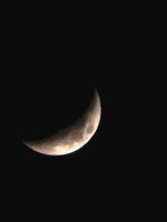 20260323_224958.jpg