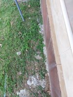 20260324_092824.jpg