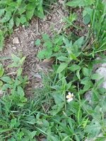 20260324_092844.jpg