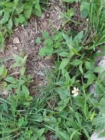 20260324_092848.jpg