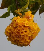 DSC01833.JPG