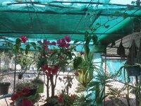 DSCN8292.JPG