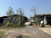 IMG_7749.jpeg