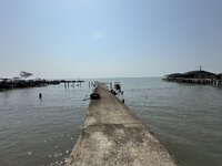 IMG_7761.jpeg