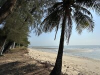 IMG_7773.jpeg IMG_7773.jpeg