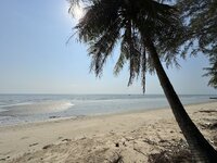 IMG_7776.jpeg IMG_7776.jpeg