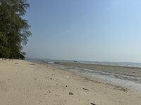 IMG_7788.jpeg IMG_7788.jpeg