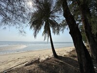 IMG_7789.jpeg IMG_7789.jpeg