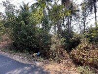 IMG_7794.jpeg IMG_7794.jpeg