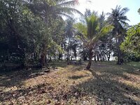 IMG_7798.jpeg IMG_7798.jpeg