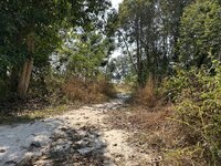 IMG_7810.jpeg IMG_7810.jpeg