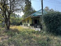 IMG_7811.jpeg IMG_7811.jpeg