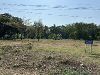 IMG_7813.jpeg IMG_7813.jpeg