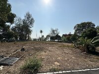 IMG_7802.jpeg IMG_7802.jpeg