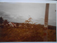 DSCN8445.JPG