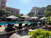 IMG_0520.jpeg IMG_0520.jpeg