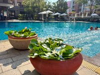 IMG_0521.jpeg IMG_0521.jpeg