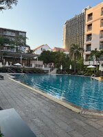 IMG_0537.jpeg IMG_0537.jpeg