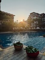 IMG_0539.jpeg IMG_0539.jpeg