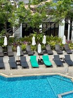 IMG_0808.jpeg IMG_0808.jpeg