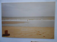 DSCN8452.JPG