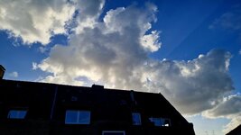 20260328_173426.jpg