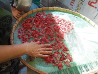 DSCN6360.JPG DSCN6360.JPG