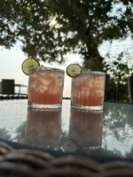 IMG_7848.jpeg IMG_7848.jpeg