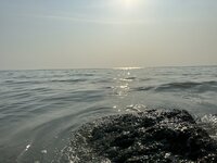 IMG_7856.jpeg IMG_7856.jpeg