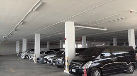 IMG_2961.jpeg