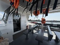 IMG_2969.jpeg