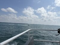 IMG_2970.jpeg