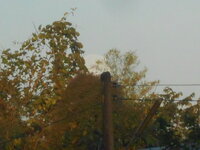 DSCN6348.JPG DSCN6348.JPG