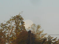 DSCN6346.JPG DSCN6346.JPG