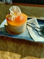 20260220_082743271.JPG 20260220_082743271.JPG