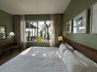 IMG_7818.jpeg IMG_7818.jpeg