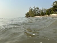 IMG_7852.jpeg IMG_7852.jpeg