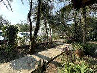 IMG_7823.jpeg IMG_7823.jpeg