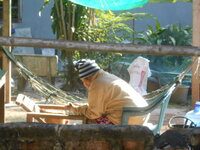 DSCN6523.JPG DSCN6523.JPG